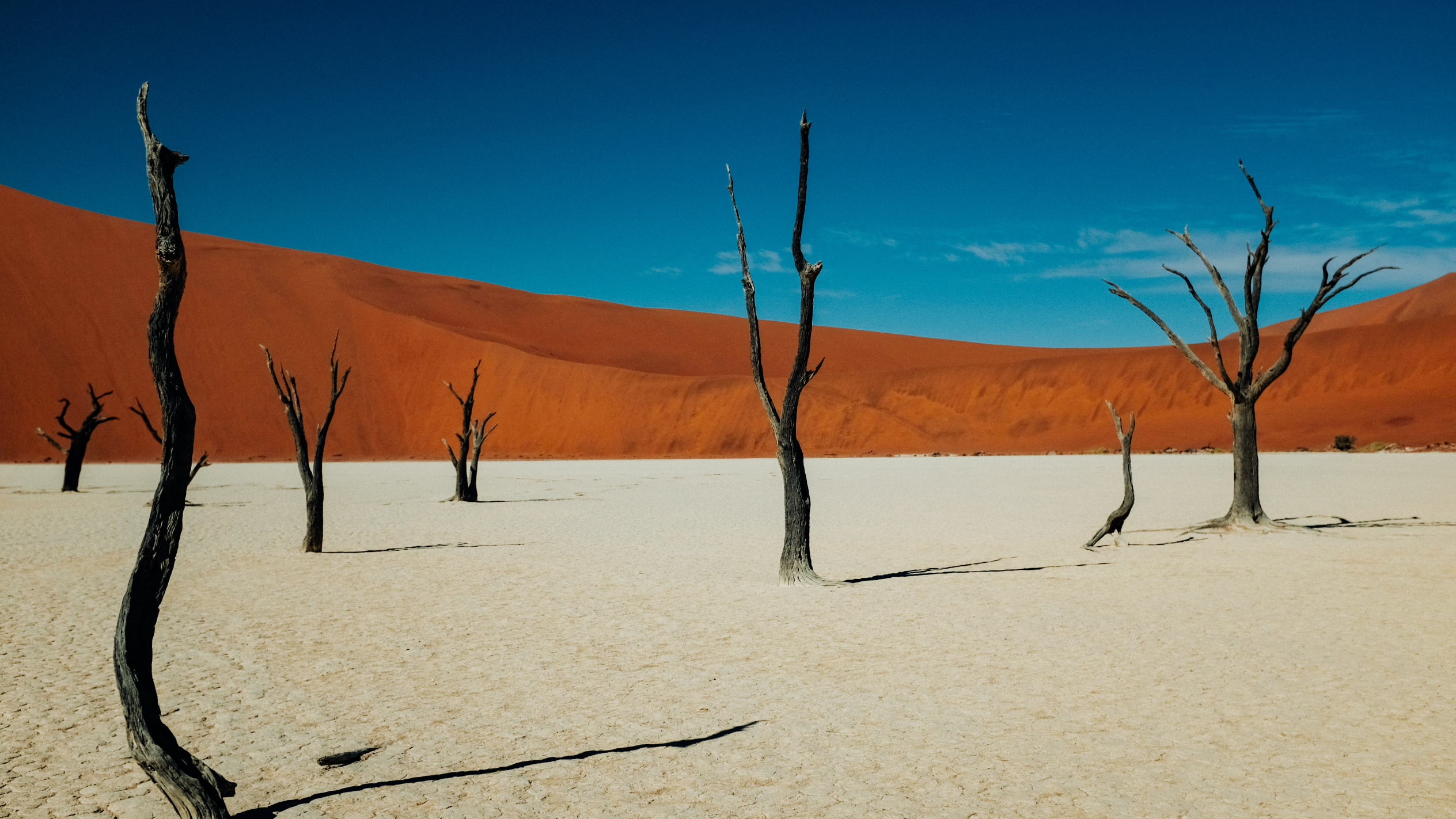 Namibia - Wo die Wüste zum Leben erwacht