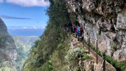29. Okt.-5. Nov. 2022: Wander- und Erlebnisreise Madeira 1 Pink Alpine - gay Reisen