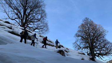 Einsteigerkurs Schneeschuhwandern 1