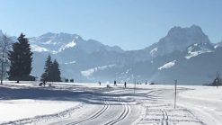 LL Schnupperkurse Schoenried Vorschaubild 1 1