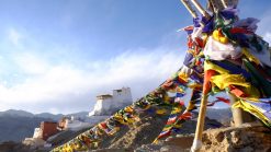 Ladakh 7
