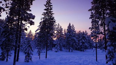 Winter-Erlebnisreise Lappland 22. – 29. Jan. 2022 6 Lappland 2021 21