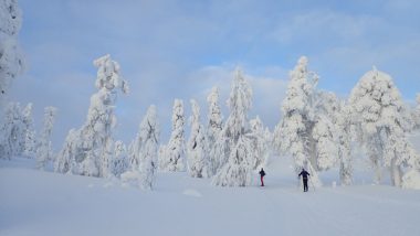Winter-Erlebnisreise Lappland 22. – 29. Jan. 2022 5 Lappland 2021 22