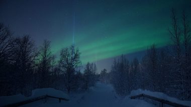 Winter-Erlebnisreise Lappland 22. – 29. Jan. 2022 2 Lappland 2021 25