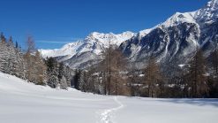 Lenzerheide Winter 1