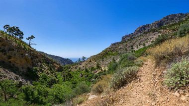 8. - 15. Mai 2022: Wanderreise Kreta - Schluchten & Strände 3 Kreta 3