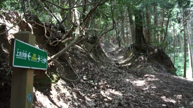 19327941946 8b30218868 o