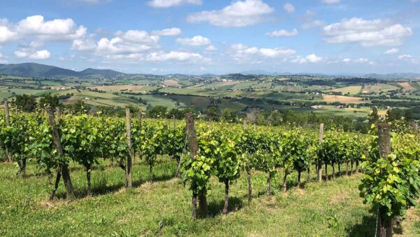 Piemont 1