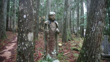 koya 2 48437939422 o