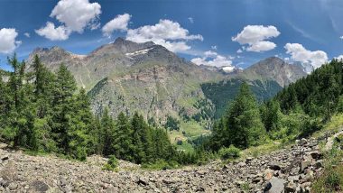 Gran Paradiso 1