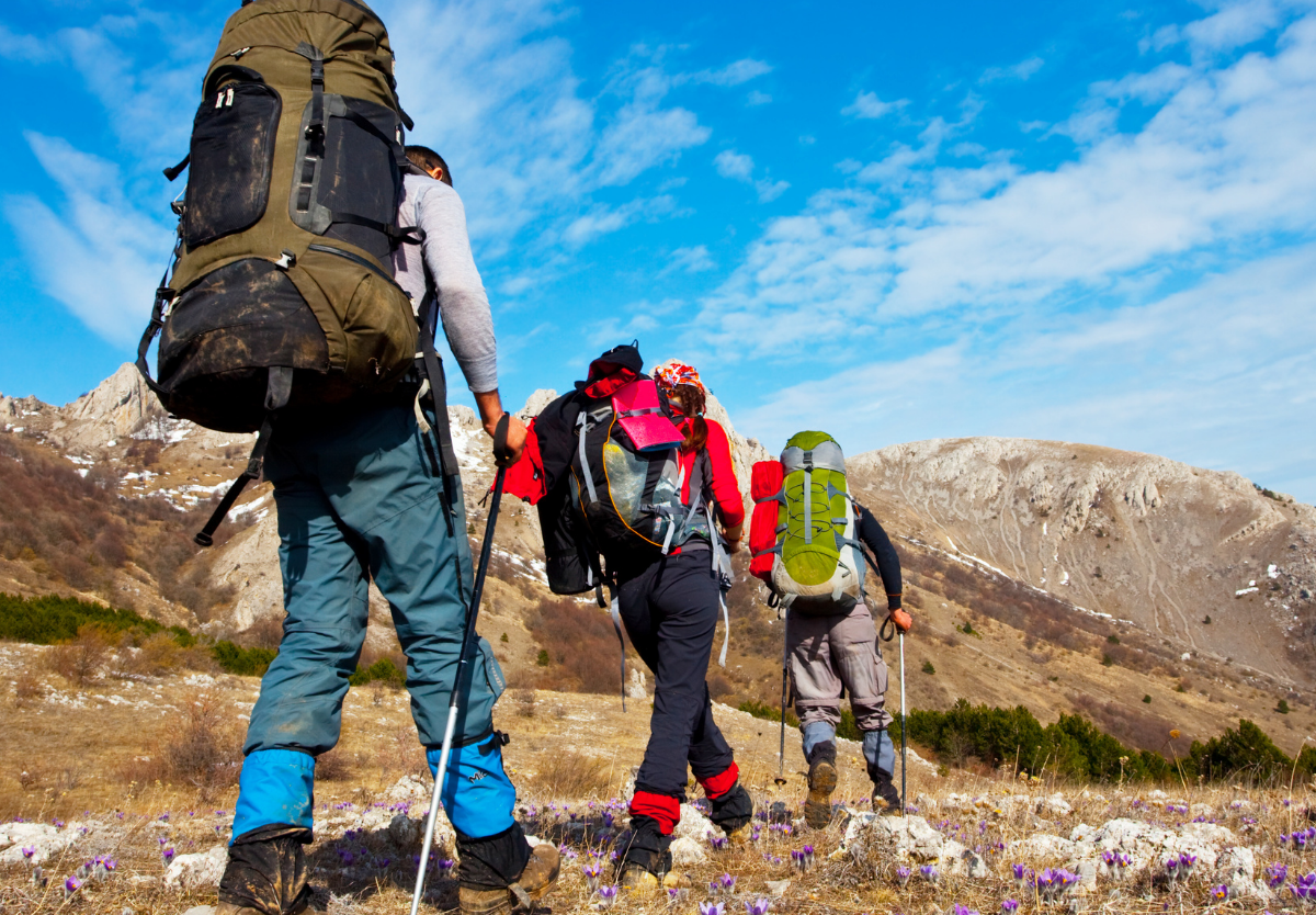 Bereit für die Wandersaison? So wirst du fit für die ersten Höhenmeter. 13 pink alpine wandern 2048x834 1