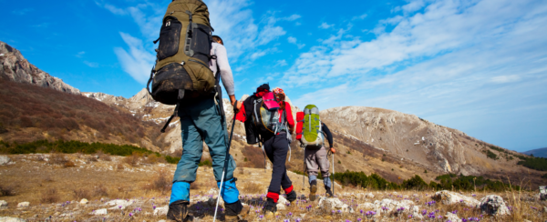 pink alpine wandern 2048x834 1
