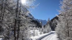 16.-18. Dezember 2022: Saisonstart für Langläufer im Oberengadin 5 Pink Alpine - gay Reisen