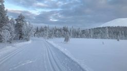 28. Jan.-4. Feb. 2023: Langlauf für Kenner in Lappland 4 Pink Alpine - gay Reisen