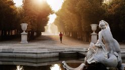 Mit Pink Alpine zum Wien Marathon