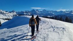 Pink Alpine Gay Männerreisen