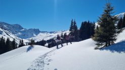 Schneeschuhwandern mit Pink Alpine Gay Männerreisen