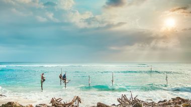 27.12.23 - 10.01.24: Das Naturparadies Sri Lanka erwandern 11 Gay Sri Lanka Wanderreise