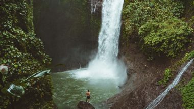 27.12.23 - 10.01.24: Das Naturparadies Sri Lanka erwandern 3 Gay Sri Lanka Wanderreise