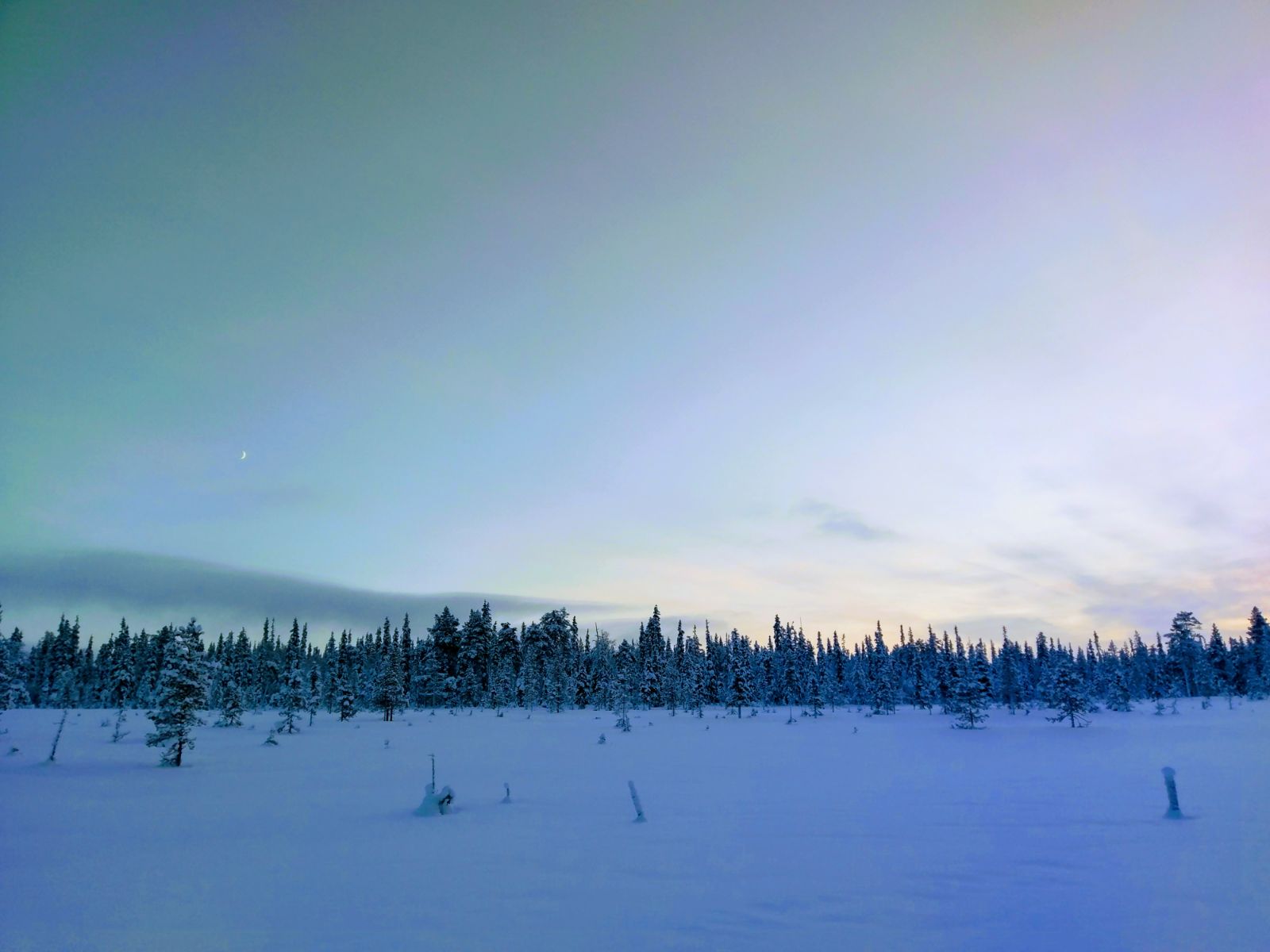 Finnland ist auf der Bucketlist vieler Reisender 1 Lappland mit Pink Alpine - gay Männer Reisen