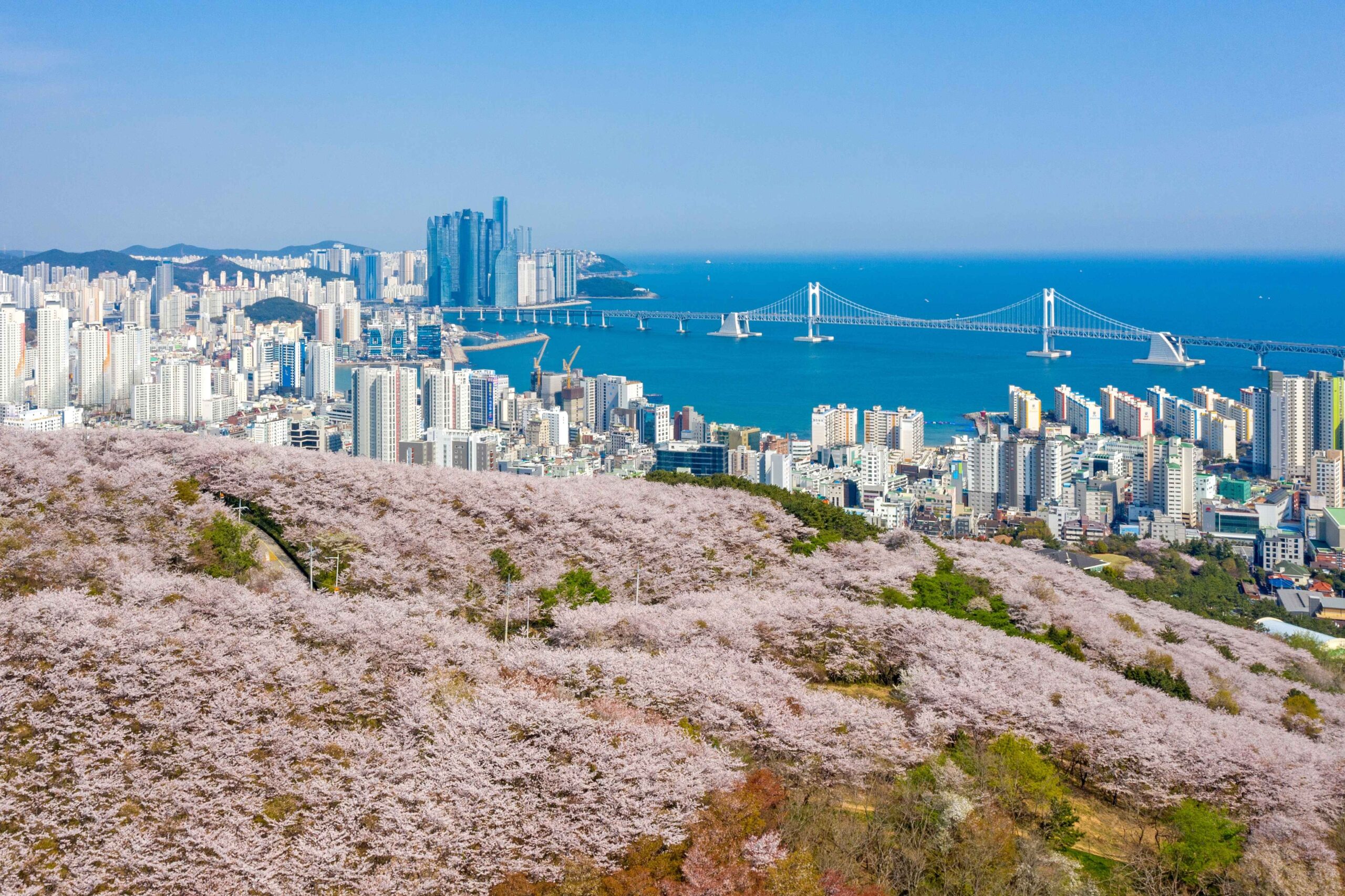 Reise ins faszinierende Südkorea